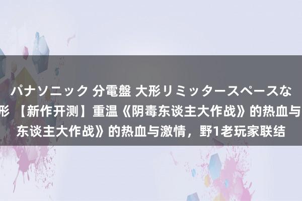 パナソニック 分電盤 大形リミッタースペースなし 露出・半埋込両用形 【新作开测】重温《阴毒东谈主大作战》的热血与激情，野1老玩家联结